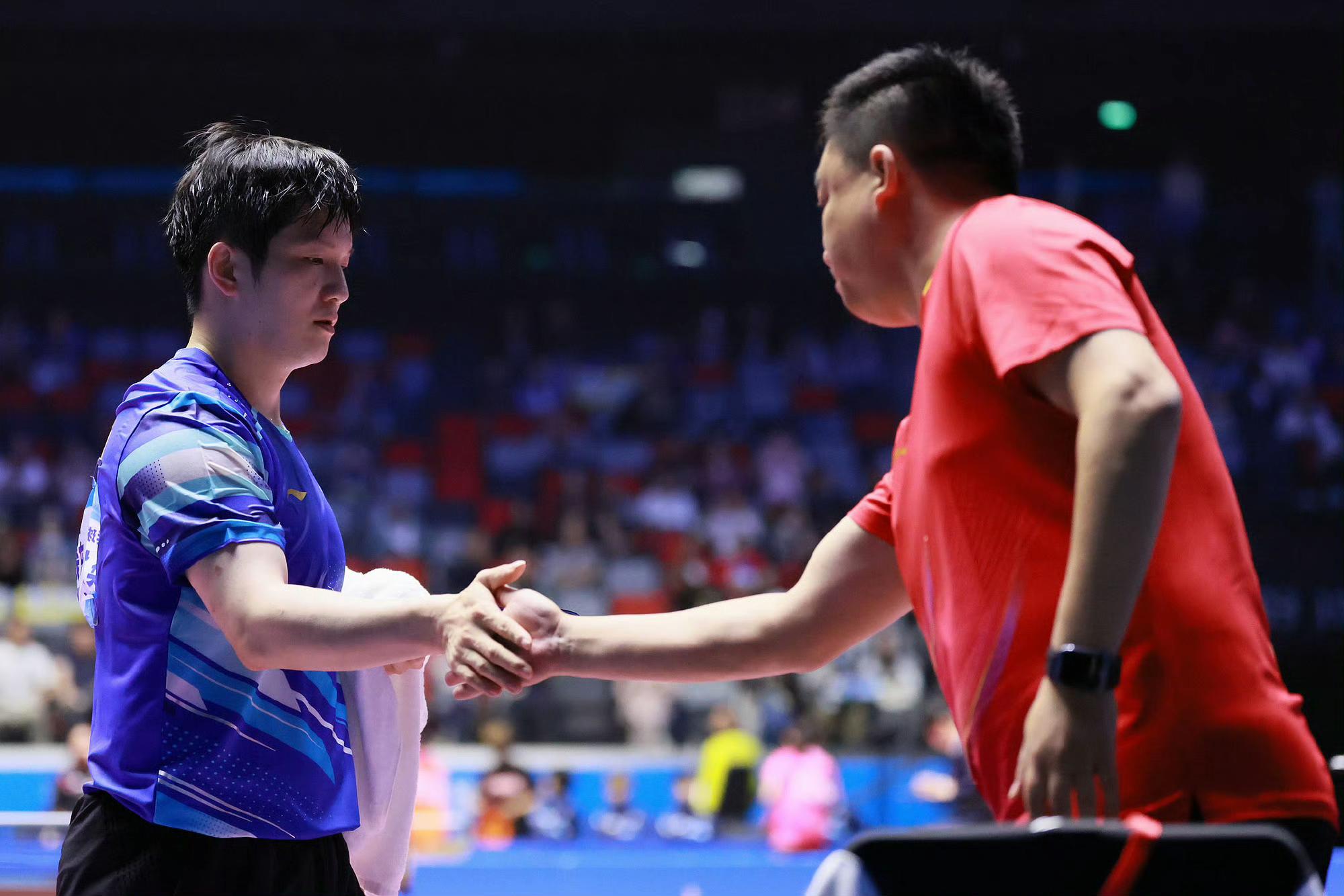 瑞典队轻取葡萄牙队,樊振东状态火热 瑞典队轻取葡萄牙队,樊振东状态火热